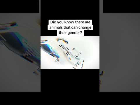 Did You Know There Are Animals That Can Change Their Gender