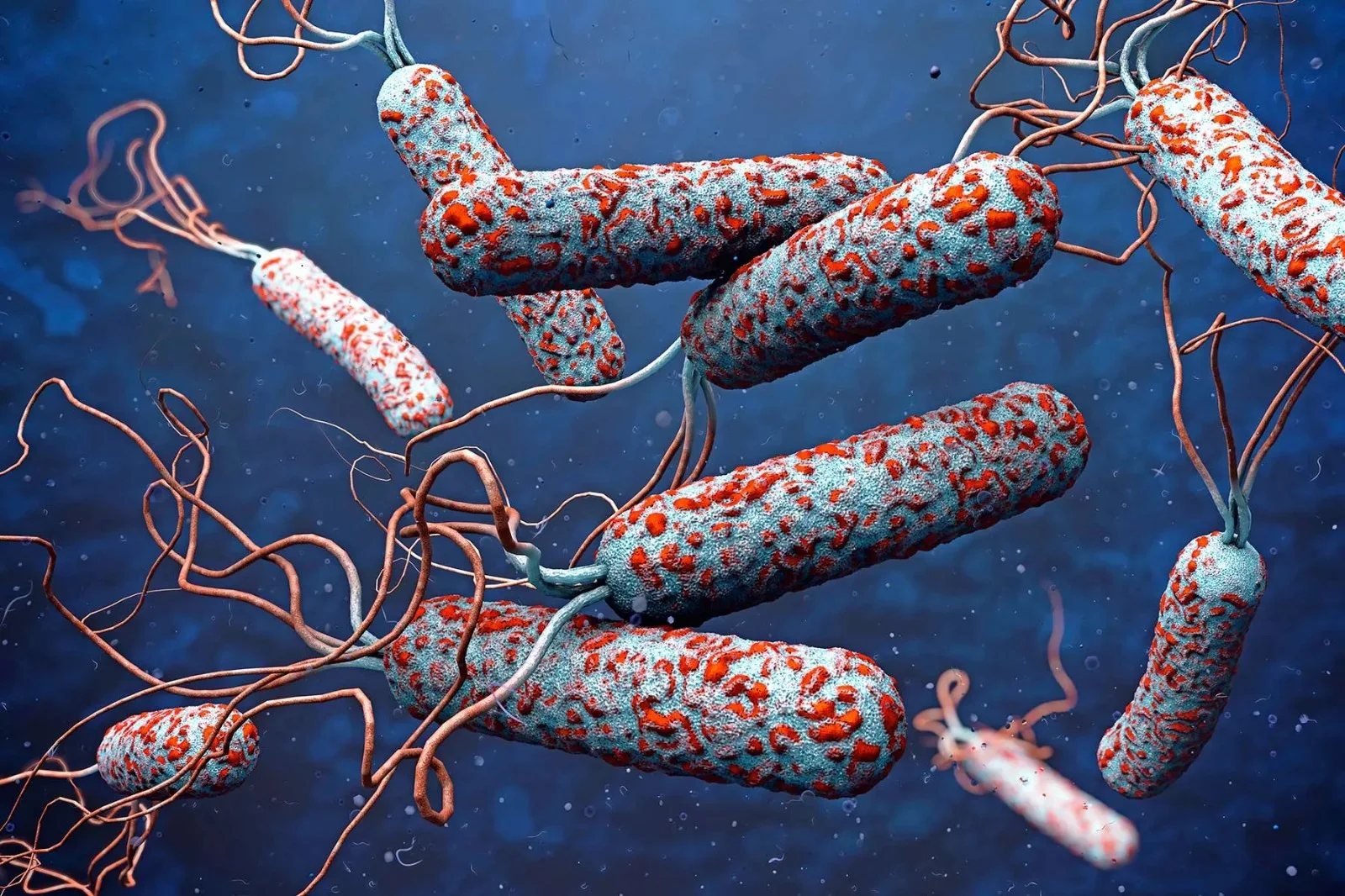 Kenya ranks 11th in Africa as cholera deaths rise in 2025