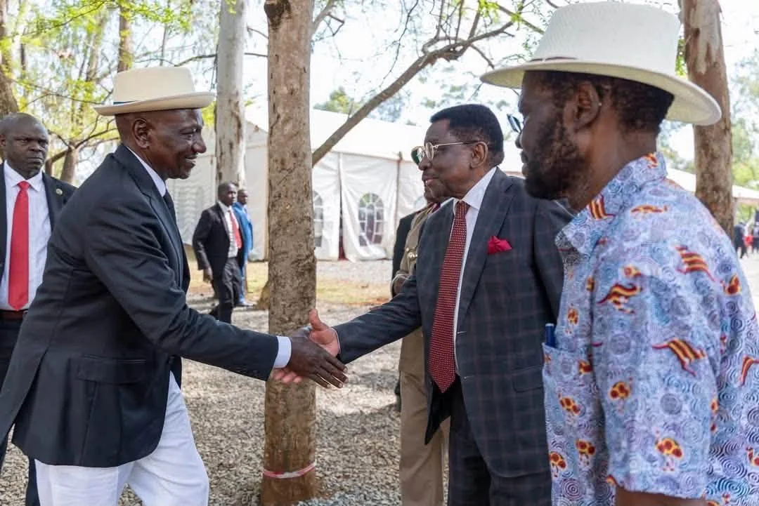 Orengo