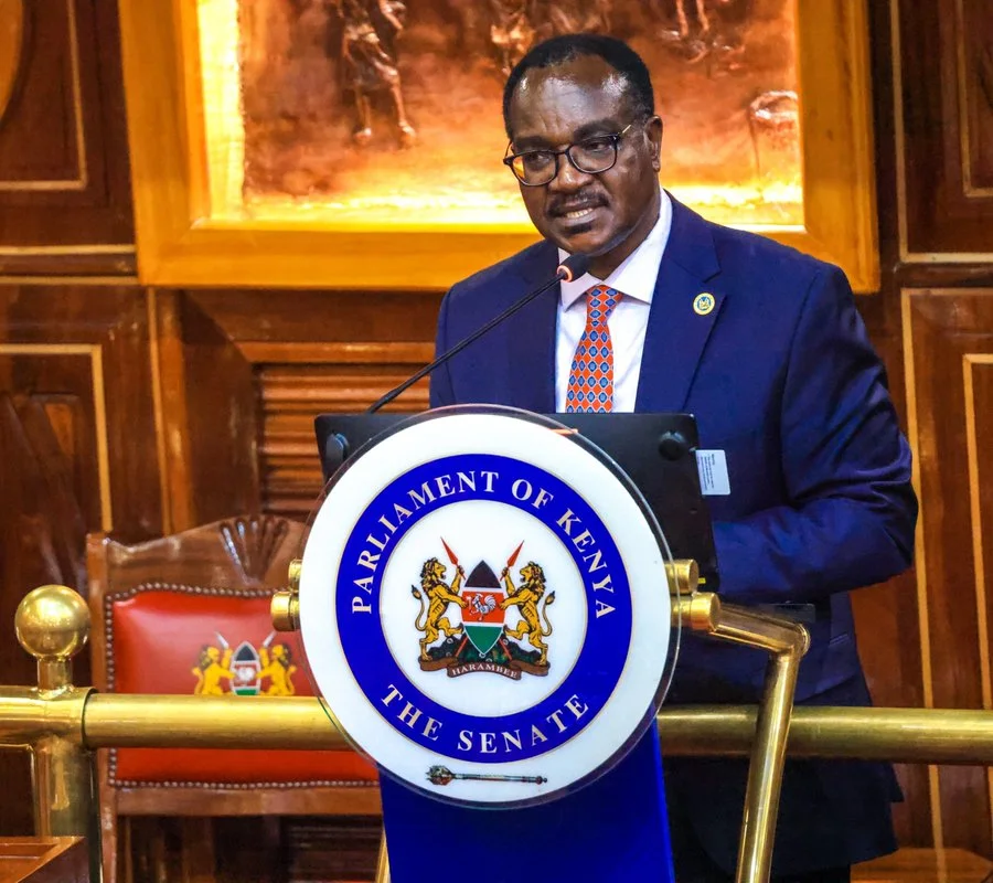 Education CS Julius Ogamba before the Senate plenary on October 6, 2026.