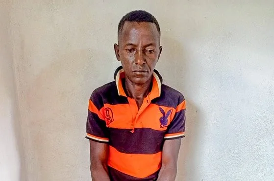 Suspect in bhang crackdown case arrested by Police in Embu County on October 11, 2026.