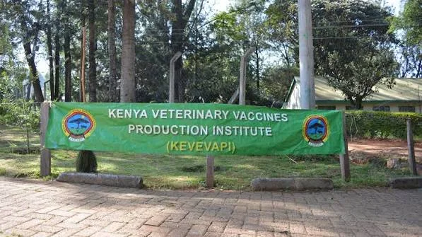 Kenya Veterinary Vaccines Institute
