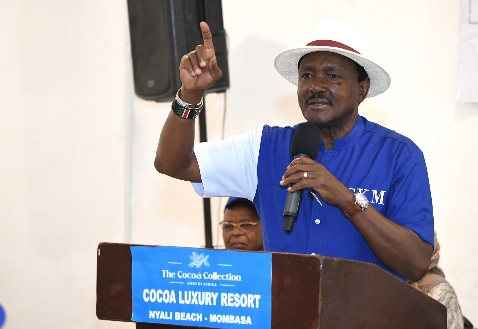 Wiper Patriotic Front leader Kalonzo Musyoka speaking at a past event